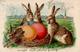 Ostern Hasen Lithographie / Prägedruck I-II (Marke Entfernt, Fleckig) Paques - Easter