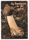 Champignons : " Les Champignons ça Fait Grossir " - Mushrooms