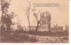 Ypres - Ruines Des Halles Et De La Cathédrale - Ieper