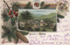 Old Postcard Salutari Din Rucar Litho - Romania