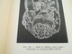 Delcampe - L ART DE RECONNAÎTRE LES DENTELLES VIEUX LIVRE ANNÉE 1924 PAR ÉMILE BAYARD ÉD. GRUND FRANCE - Literature