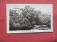 RPPC  Castillo Chapultepec Mexico   -ref    3574 - Mexico