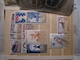 Delcampe - FRANCE LIQUIDATION UN GROS CARTON TIMBRES FDC DOCUMENTS DE TOUT DE TOUT A DECOUVRIR DERNIER LOT - Collections