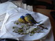 Gobelin Tapestry Birds - Tapis & Tapisserie