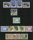 JEMEN - NORDJEMEN **, 1960-67, Partie Verschiedener Flugpost-Marken, Pracht, Mi. 215.- - Yemen