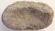 Delcampe - LOT : GRYPHAEA ARCUATA DU Sinémurien, HUITRE FOSSILE + ŒUFS DINOSAURES + AUTRES à Déterminer - Fossili