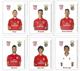 Delcampe - PORTUGAL - 12 Auto-adhesive My Stamp (meuselo), N20g - BENFICA Champion 37th + Post Card + 12 Magnets - Equipos Famosos