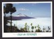 Spain: PPC Picture Postcard To Netherlands, 2011, 1 Stamp, Butterfly, Sta Cruz Tenerife, Canary Islands (traces Of Use) - Brieven En Documenten