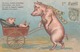 CPA Gaufrée Animal Humanisé Position Humaine Cochon Porc Pig Bonne D'Enfant Landau Embossed Illustrateur (2 Scans) - Pigs
