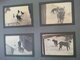 Delcampe - LOT 4 ALBUM SPORTS D HIVER MONTAGNE ZERMATT GRUNDENWALD BERNE MONT ST BERNARD BERN OURS CHIEN SKI - Albums & Collections