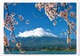 Mount Fuji And Cherry Blossoms, Japan, View From Kawaguchi Lake, 1985 Used Postcard [23438] - Other & Unclassified