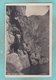 Small Postcard Of Parti Ved Eidfjordvandet I Hardanger,Norway,S69. - Norway