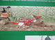 Delcampe - Greco Machine-Types Of Fiat Tractor, Agricultural Machines- Catalog, Prospekt, Brochure- Italy - Tracteurs