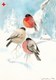 Postal Stationery - Winter Scene - Landscape - Birds - Bullfinches - Red Cross 1990 - Suomi Finland - Postage Paid - Postal Stationery