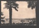 Soukhoumi / Soechoemi / Soechoem - The Town, Viewed From The Gardens Of The Botanical Institute Of U.S.S.R. - Géorgie