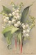 Muguet - 1902 - Flores