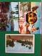 Postcards Jamaica - Andere & Zonder Classificatie