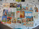 LOT  DE 234   CARTES  POSTALES    HUMOUR  ETC - 5 - 99 Cartes