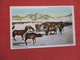 Elk Herd Jackson Hole Wyoming   Ref    3587 - Other & Unclassified