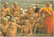 Buddhist Young Novices, Thailand - Buddhism