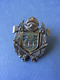 INSIGNE EN REDUCTION / SAPEUR POMPIER / HAUTES-PYRENEES / VILLE LOURDES / ORIGINAL - Pompiers