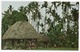 SAMOA - WESTERN SAMOAN VILLAGE / THEMATIC STAMPS-BIRDS - Samoa