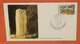 FRANKREICH 2556 Filitosa - Korsika - Archäologie -- Karte Nr. 03858 FDC Cover (2 Foto)(71984) - 1980-1989