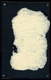 MAUKS Kornélia, 1856-1923. Író, Mikszáth Kálmán Sógornője Visit Fotó 1885. Ca. Klöckner. Martonvásár  /  Kornélia Mauks  - Andere & Zonder Classificatie