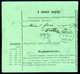 SÁTORALJAÚJHELY 1874. Kiegészített Díjjegyes Posta Utalvány Bécsbe Küldve  /  Uprated Stationery Postal Money Order To V - Oblitérés