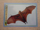 PANINI ANIMAL WORLD Animaux N°77 Chauve-souris Géante D'Inde Indian Flying Fox - Franse Uitgave