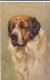 AS90 Animals - Dog - St. Bernard - Artist Signed Arthur Wardle - Chiens