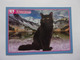 PANINI ANIMAL WORLD Animaux N°323 Chat Sibérien Cat Katze Gato - Edition Française