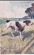 AS91 Animals - Dog - The Pointer, Artist Signed G. Vernon Stokes - Dogs