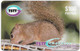 Trinidad & Tobago - TSTT (Prepaid) - Little Squirrel, 100$, 1999, 135.000ex, Used - Trinité & Tobago