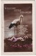 BABY: 'Welcome Little Stranger' - (Stork/Ooievaar/Cigogne) - Embossed Postcard - Andere & Zonder Classificatie