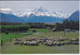 MT. COOK / AORAKI, AORANGI  South Canterbury   Nice Stamp - Nuova Zelanda