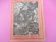 Couverture De Cahier écolier/Histoire Naturelle / Orangs-Outangs/Vers 1880-1890  CAH261 - Autres & Non Classés