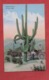 Giant Cactus 60 Ft High     Ref   3598 - Cactusses