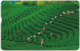 Taiwan - Chunghwa Telecom (Chip) - People Working In The Tea Field - 210U, Exp. 31.12.2011, Used - Taiwan (Formosa)