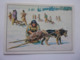 PANINI WEST Cow Boy Indien Cavalerie N°21 Chien Dog Hund Perro Kutya - Edition Française