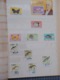 Delcampe - PRA 12) Album 139 Timbres CUBA Stamps - Collections, Lots & Series