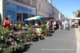 Chalonnes-sur-Loire (49)- Marché (Edition à Tirage Limité) - Chalonnes Sur Loire