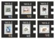 CENTRAL AFRICA 2019 - WWF Fauna On Stamps E, M/S + 6 S/S. Official Issue. - Sonstige & Ohne Zuordnung