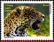 Ref. BR-3140D BRAZIL 2010 ANIMALS, FAUNA, PANTANAL, OZS, OUNCE,, CATS, DEPERSONALIZED MNH 1V Sc# 3140 - Personnalisés