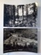 2 Cartoline CAMALDOLI Viaggiate 1956 E 1964 Eremo E Panorama Ingresso Albero Ristorante - Arezzo