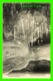 SYDNEY, AUSTRALIE - BATH OF VENUS, SKELETON CAVE - SERIES 31, JENOLAN B. - KERRY - - Sydney