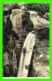 SYDNEY, AUSTRALIE - HEAD OF BELMORE FALLS - SERIES 32, MOSS VALE - KERRY - - Sydney