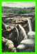 SYDNEY, AUSTRALIE - FALLS, WATTAMOLLA - SERIES 47, NATIONAL PARK - KERRY & CO - - Sydney