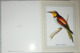 Petit Calendrier De Poche 2008 Oiseau Guepier D'Europe - Small : 2001-...