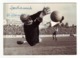 Bologna FC,William Negri  CALCIO FOOTBALL Authograph - Autografi